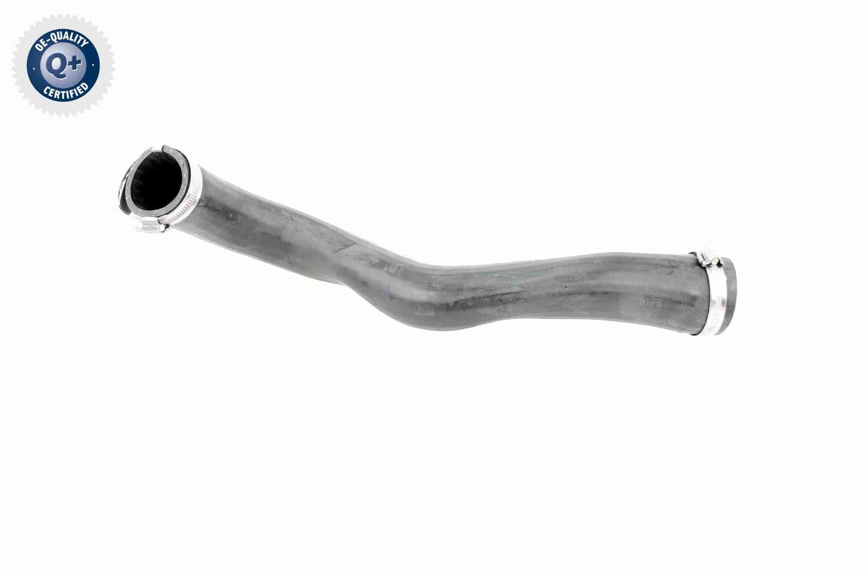 Charge Air Hose - V10-3817