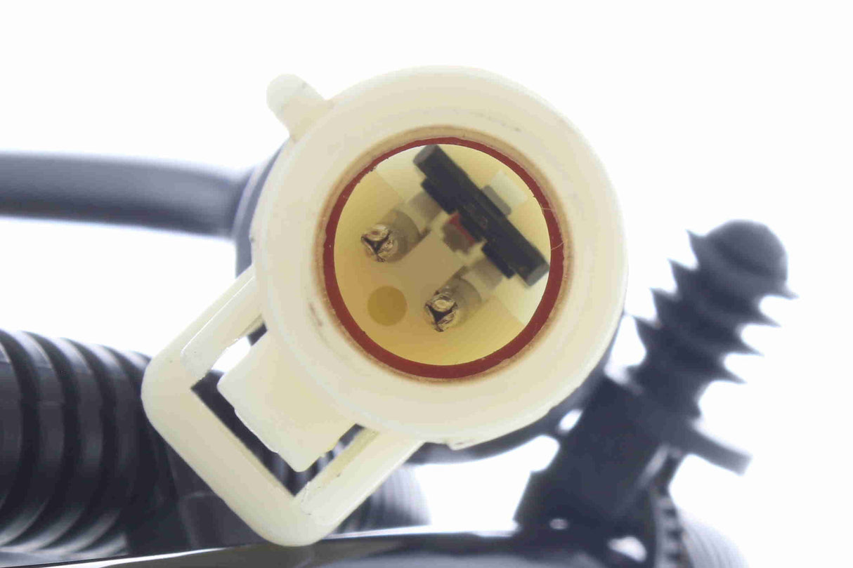 Sensor, wheel speed - V25-72-1153