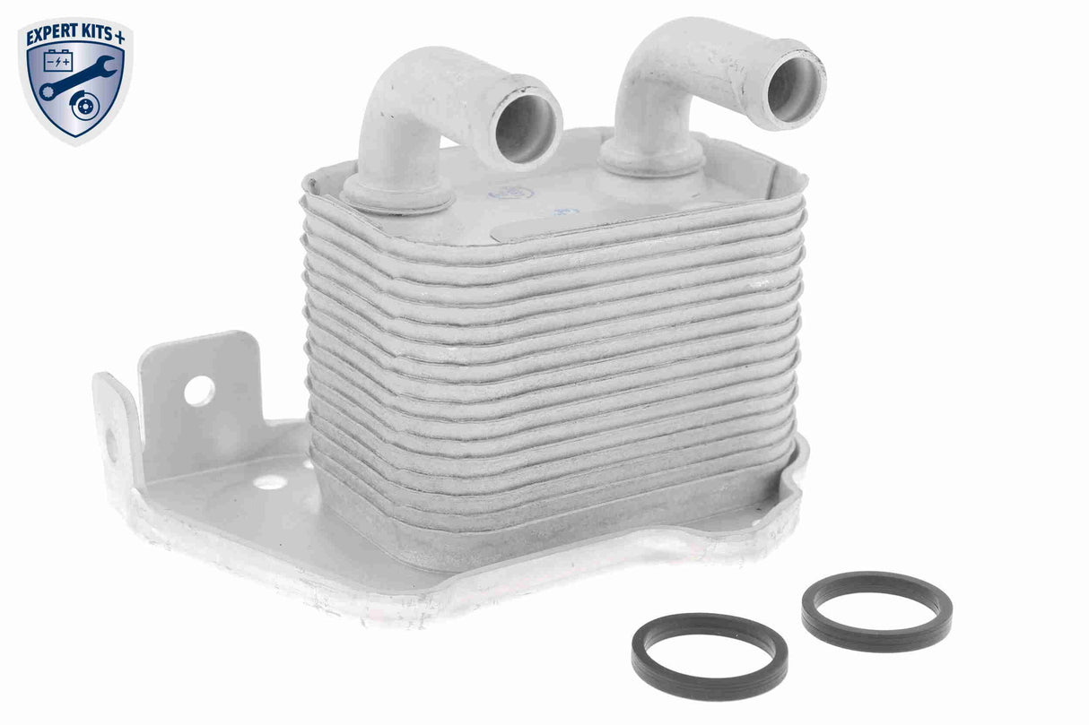 Oil Cooler, engine oil - V40-60-2105