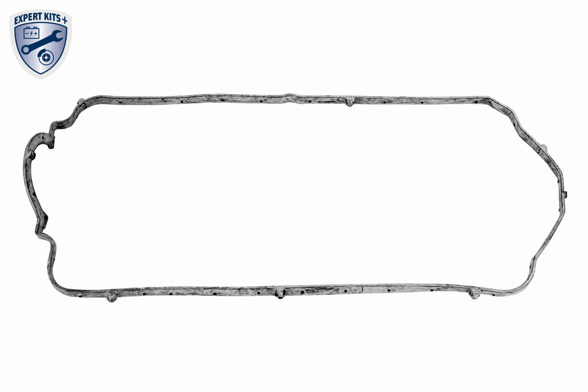 Cylinder Head Cover - V46-1401