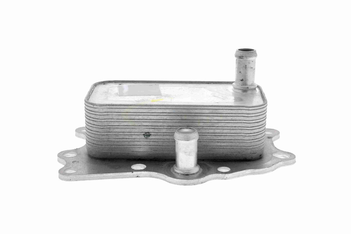 Oil Cooler, engine oil - V51-60-0004