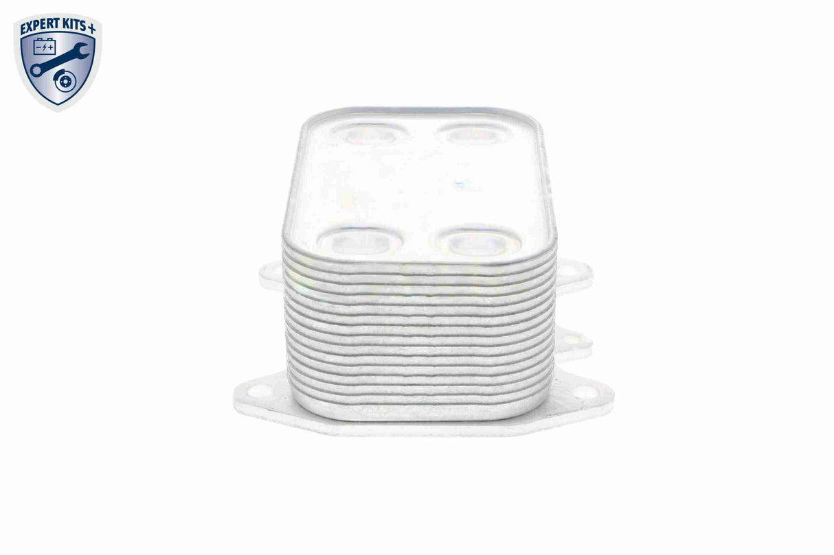 Oil Cooler, engine oil - V15-60-6061