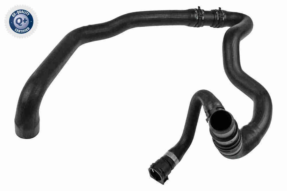 Radiator Hose - V20-3625
