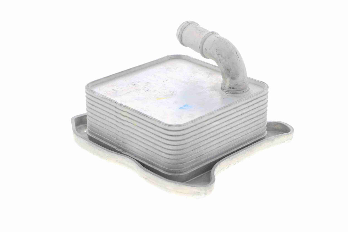Oil Cooler, engine oil - V15-60-6062
