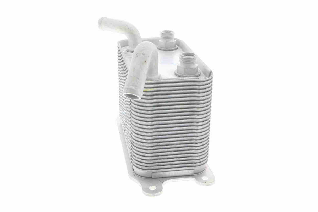 Oil Cooler, engine oil - V15-60-6067