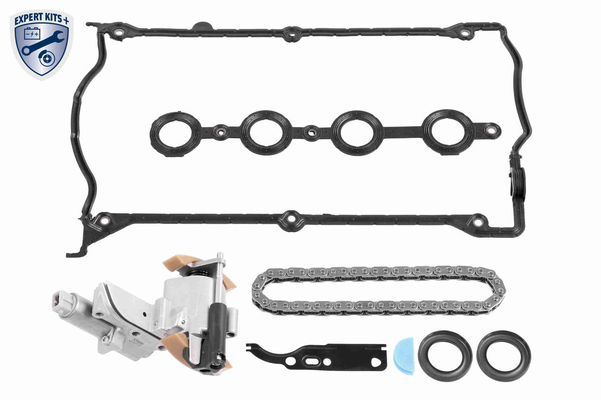 Timing Chain Kit - V10-10006