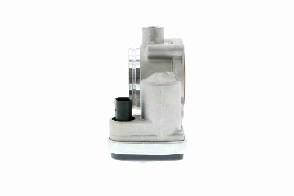 Throttle Body - V20-81-0001