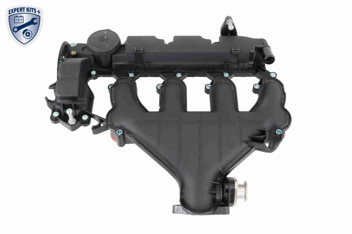 Cylinder Head Cover - V42-1046