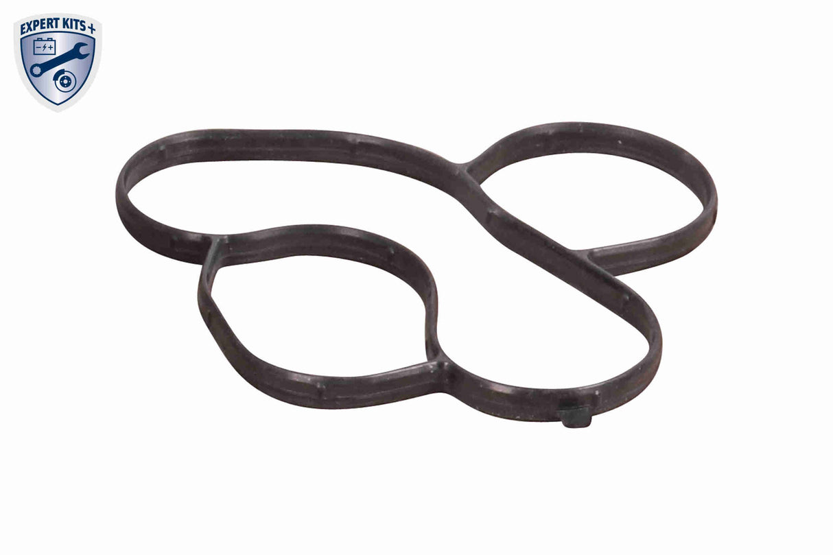 Water Pump & Timing Belt Kit - V15-99-2129