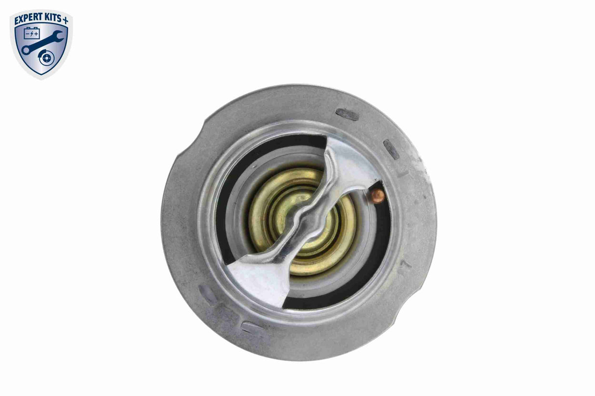 Thermostat, coolant - V15-99-2069