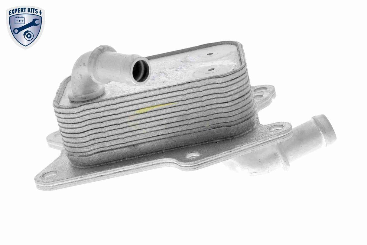 Oil Cooler, engine oil - V30-60-1341
