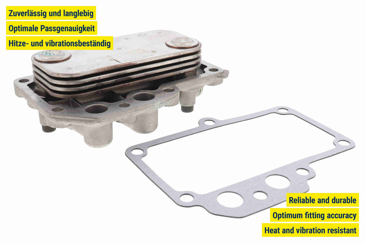 Oil Cooler, engine oil - V10-60-0064