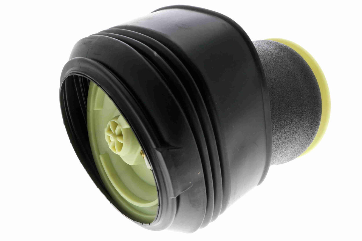 Air Suspension Strut - V20-50-0005-1