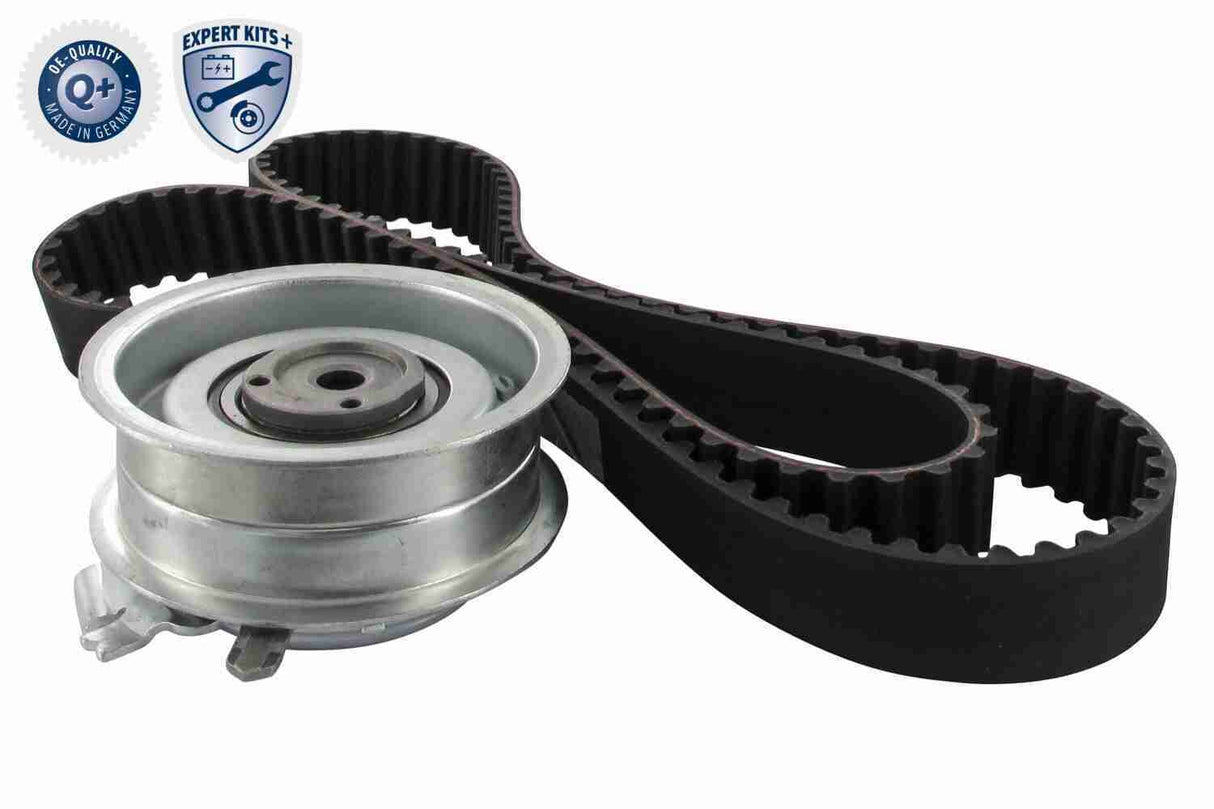 Timing Belt Kit - V10-4177