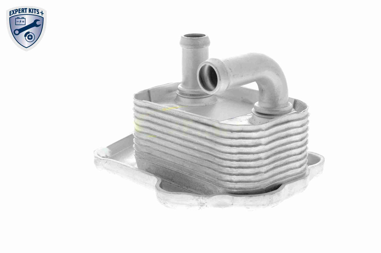 Oil Cooler, engine oil - V40-60-2110