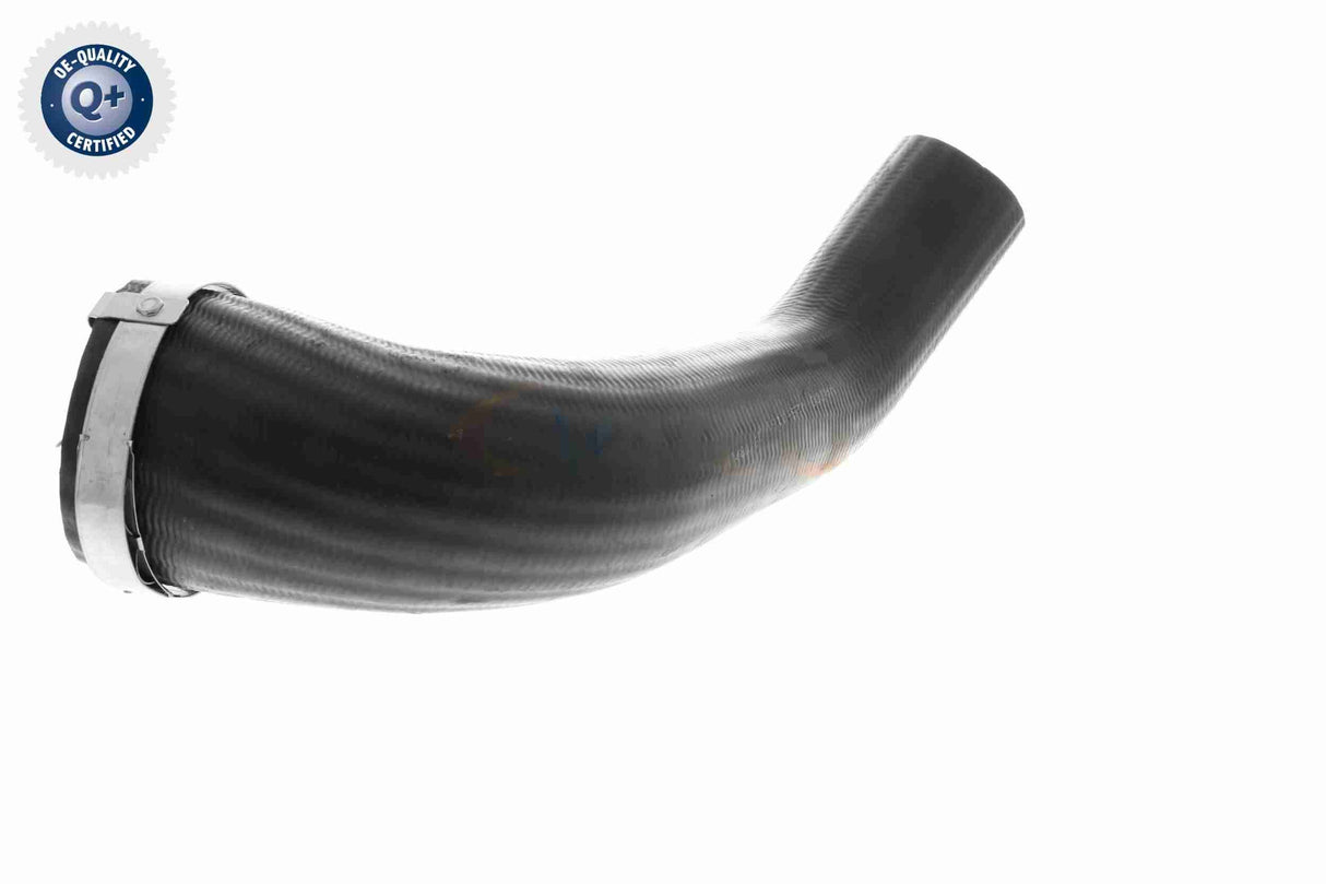 Charge Air Hose - V25-1161