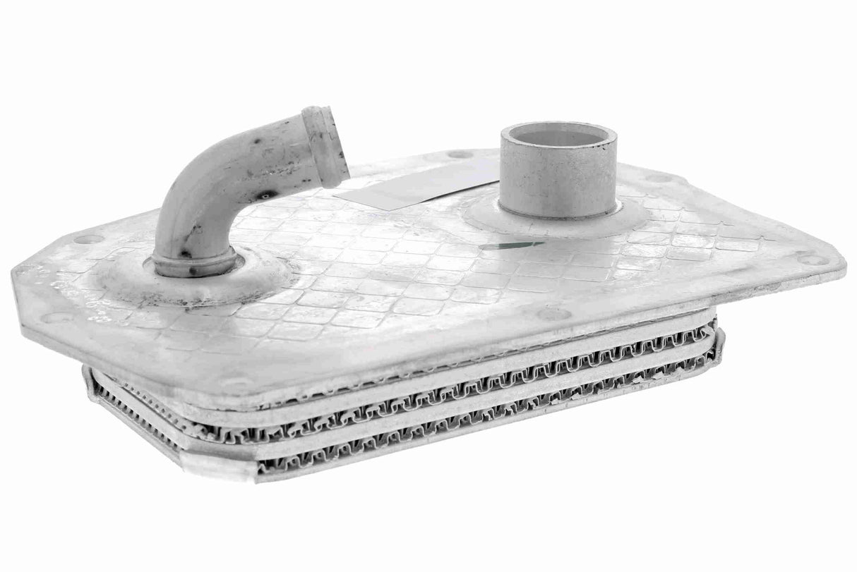 Oil Cooler, engine oil - V30-60-0004