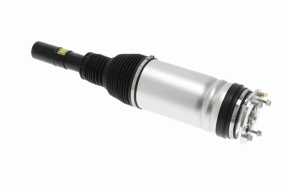 Air Suspension Strut - V48-50-0017