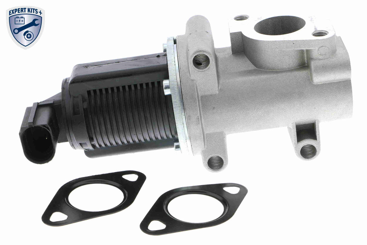 Valve, exhaust gas recirculation - V24-63-0002