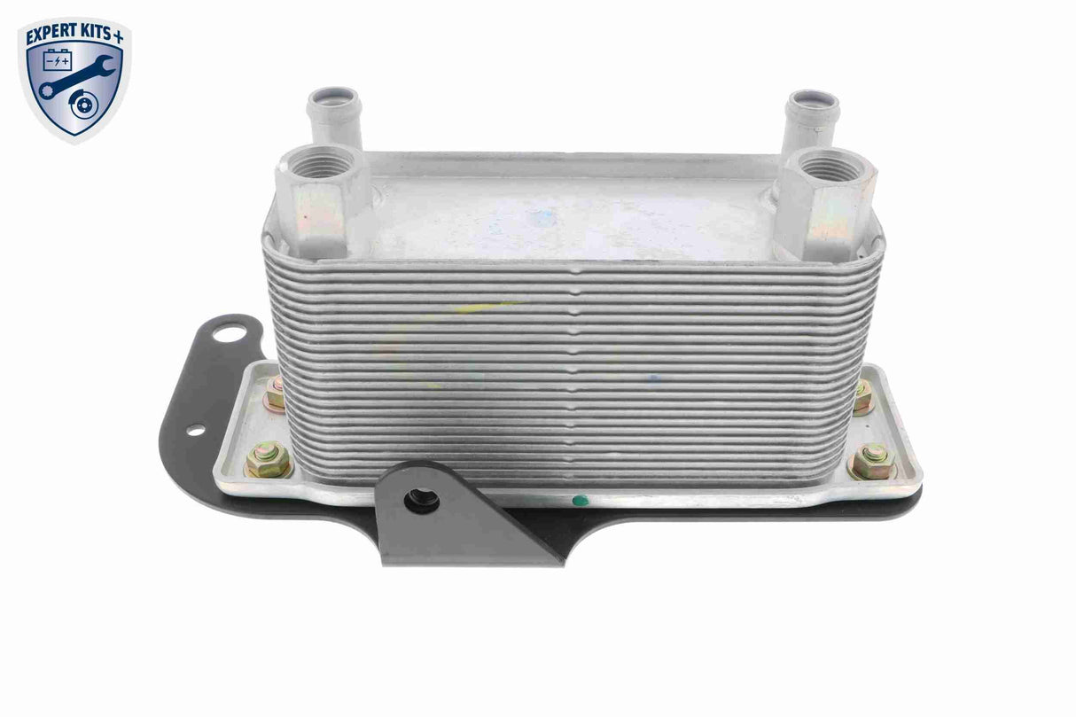 Oil Cooler, engine oil - V25-60-0045