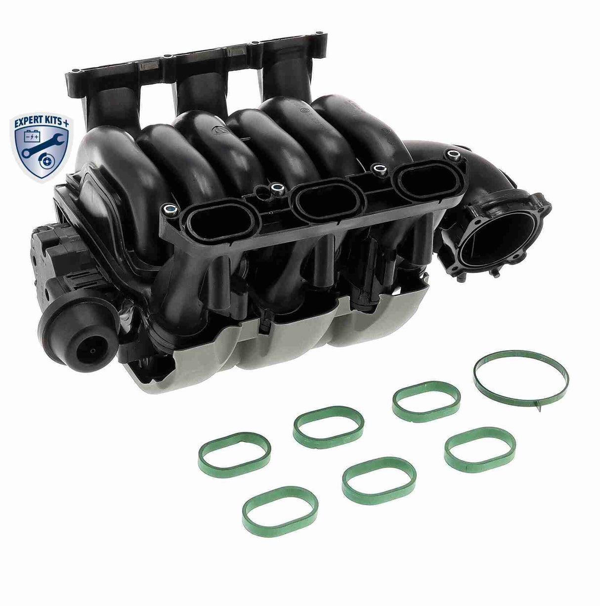 Intake Manifold Module - V10-6771