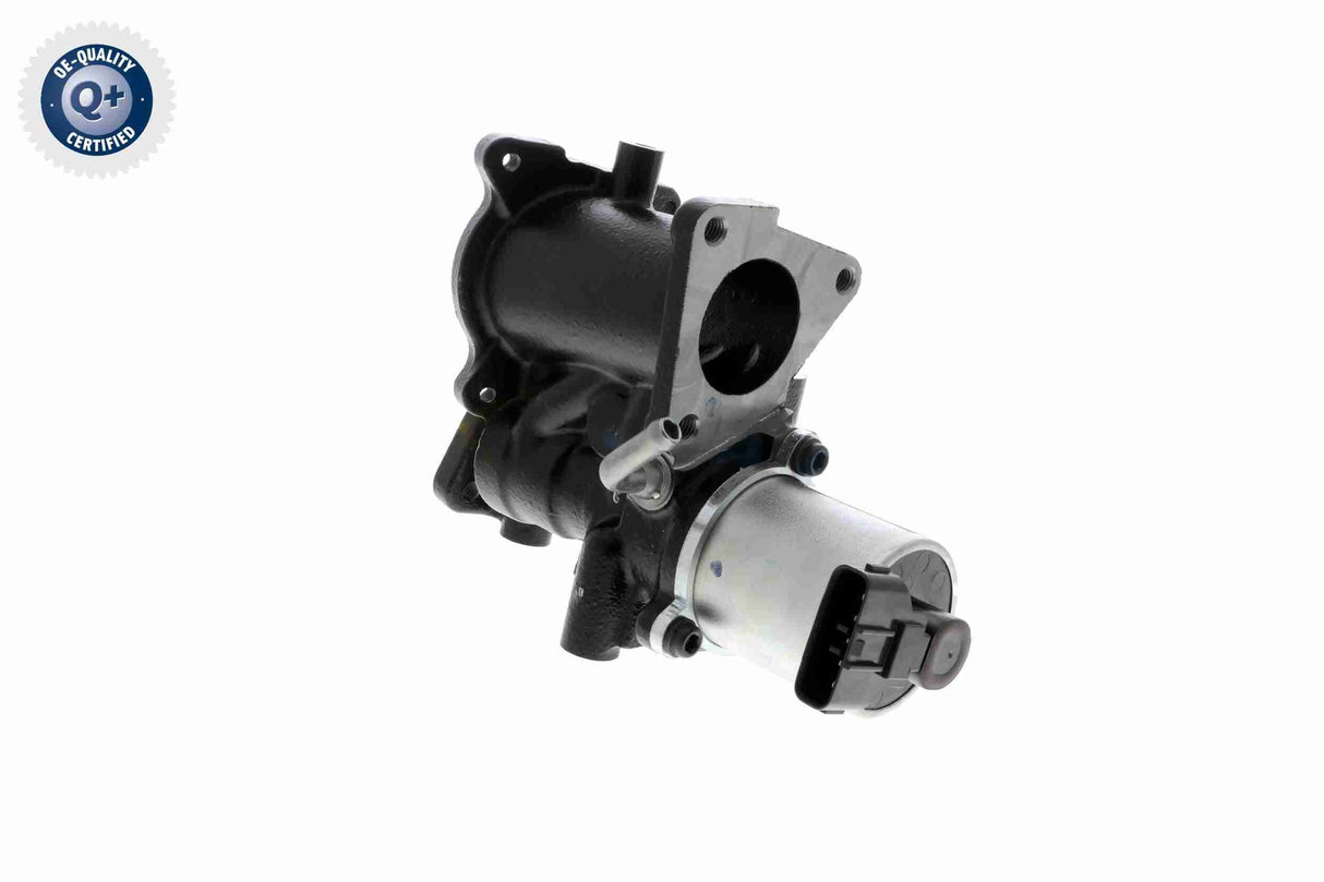 Valve, exhaust gas recirculation - V40-63-0042