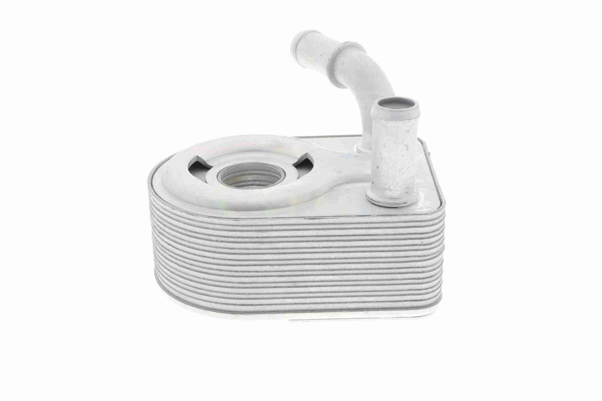 Oil Cooler, engine oil - V25-60-0027