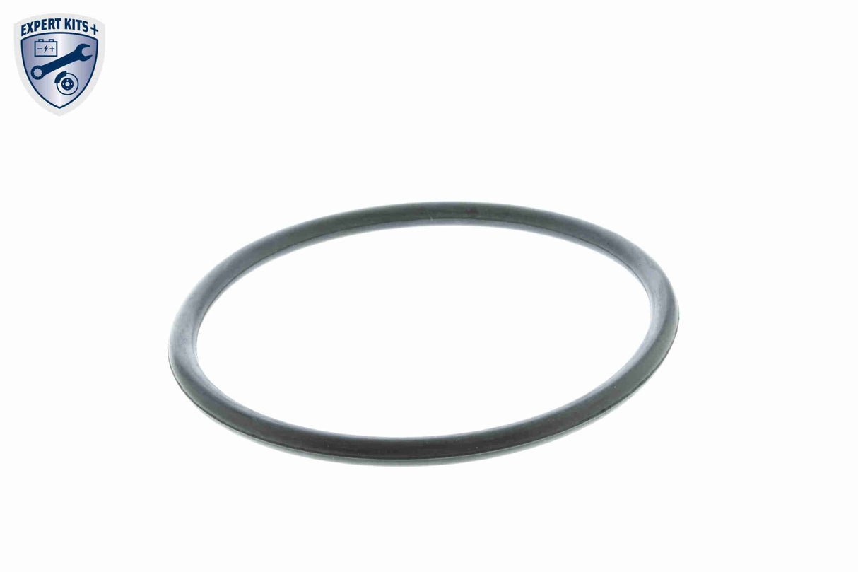 Thermostat, coolant - V20-99-1253