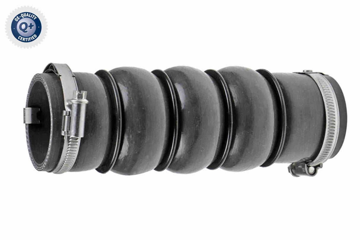 Charge Air Hose - V22-0727