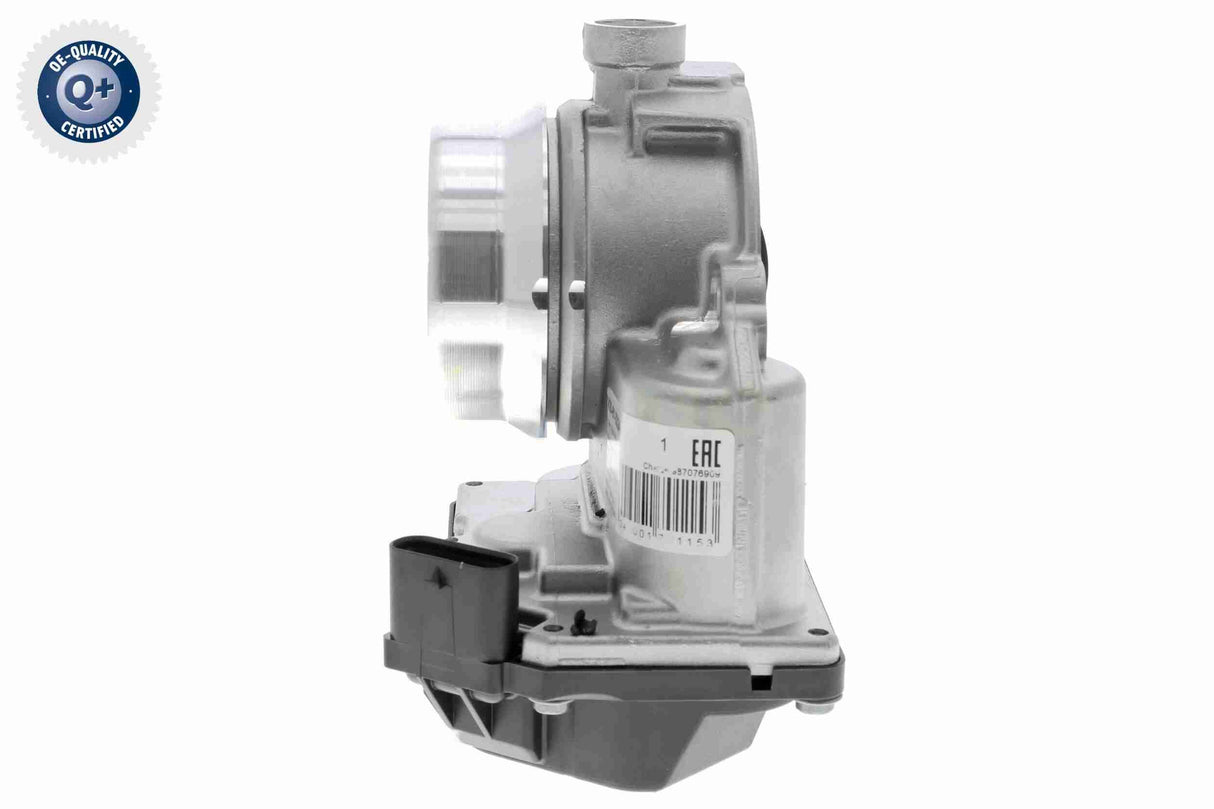 Throttle Body - V20-81-0024