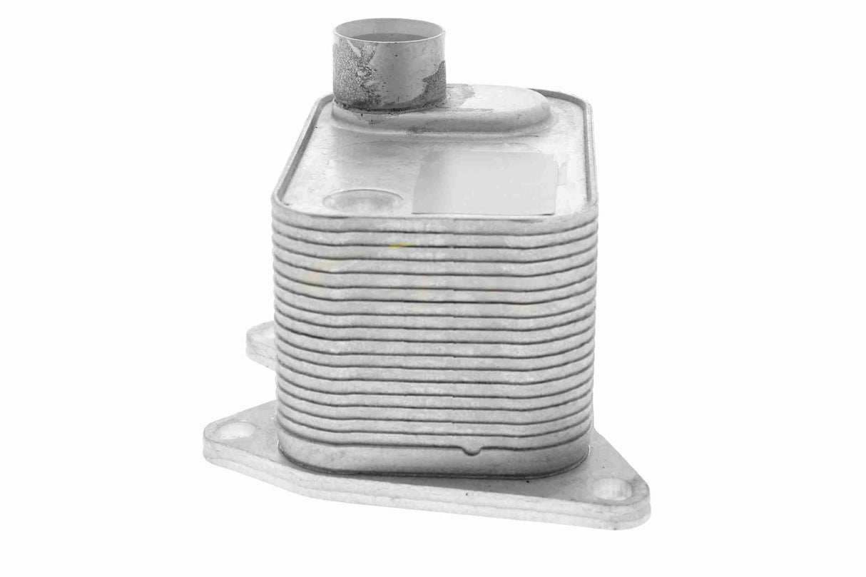 Oil Cooler, engine oil - V15-60-0015