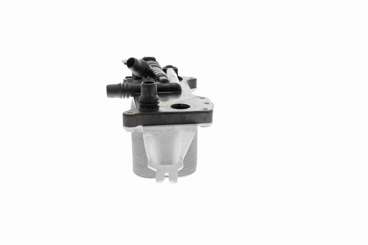 Oil Cooler, engine oil - V20-60-0052