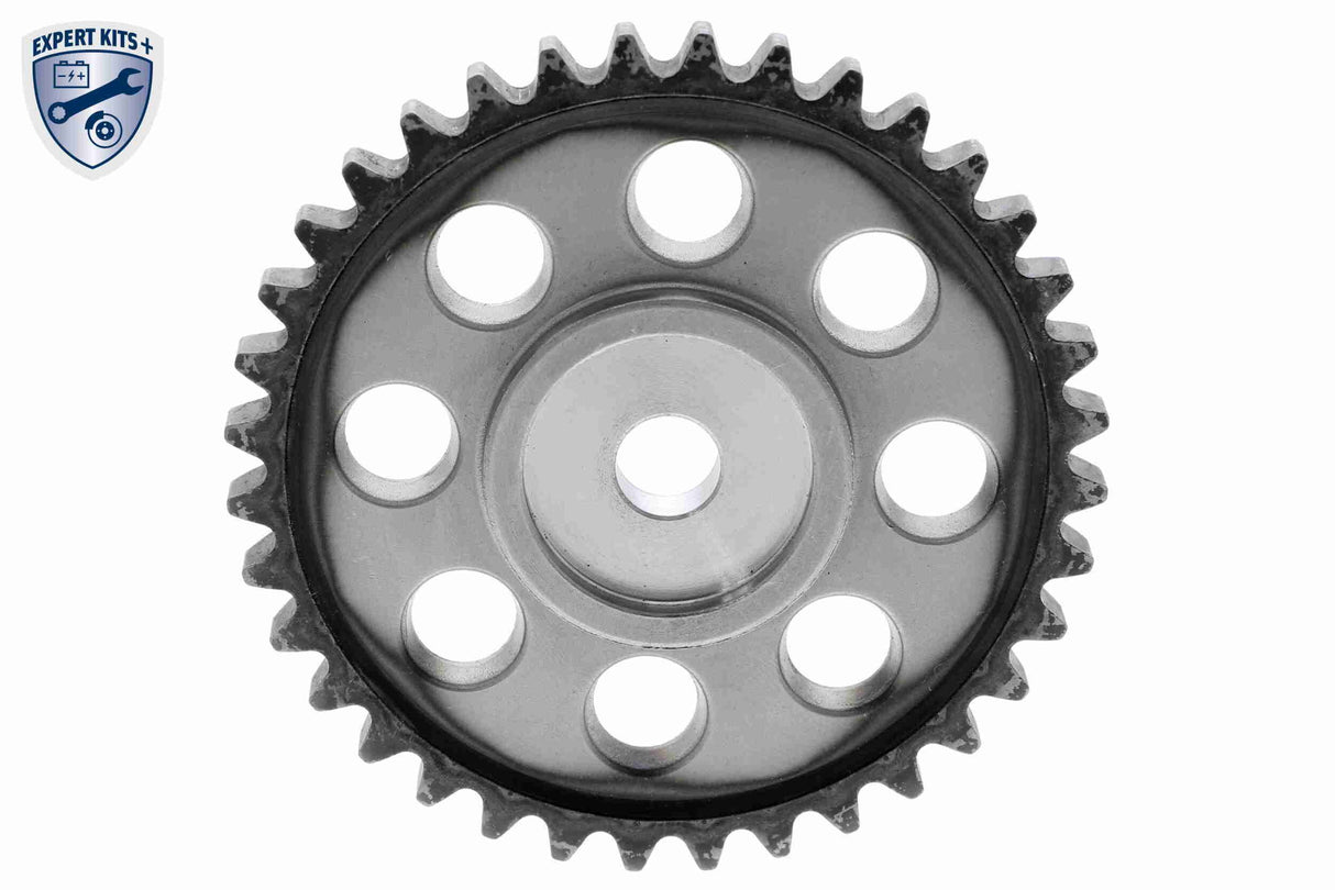 Timing Chain Kit - V10-10015-SP