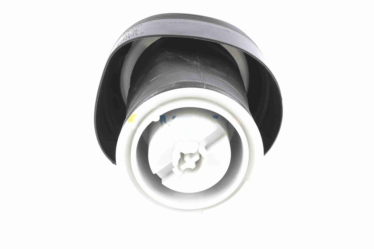 Air Suspension Strut - V20-50-0006-1