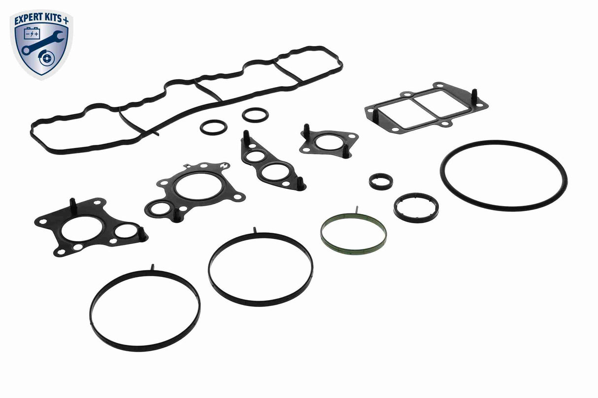 Gasket Set, oil cooler - V30-60-91315