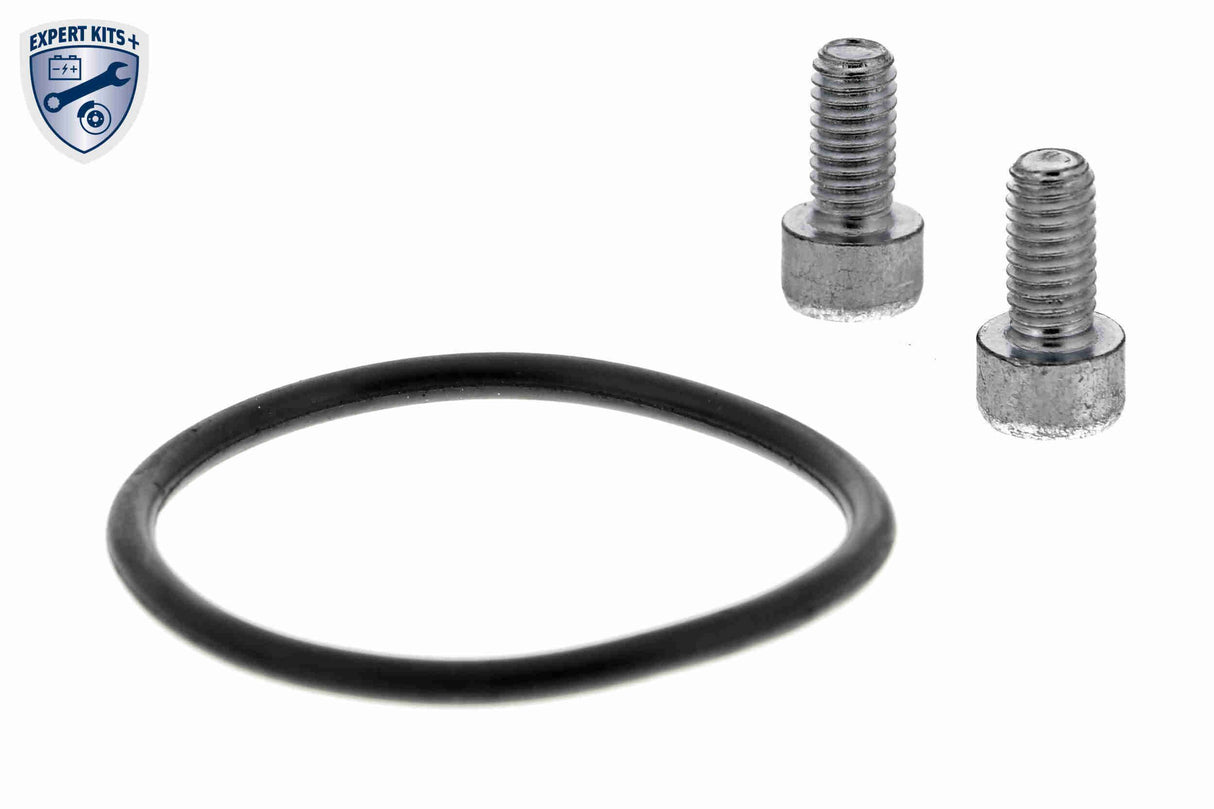 Control Element, parking brake caliper - V20-77-0305