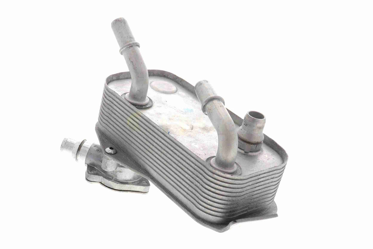 Oil Cooler, automatic transmission - V20-60-1552