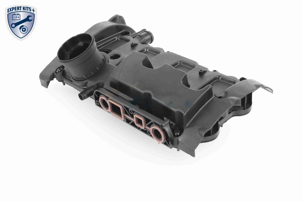 Cylinder Head Cover - V10-5799