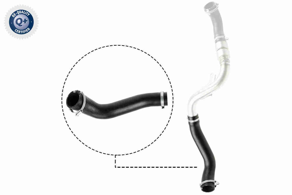 Charge Air Hose - V25-1488