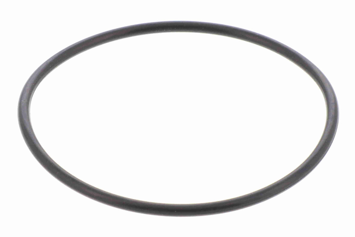 Gasket, throttle body - V20-81-0041