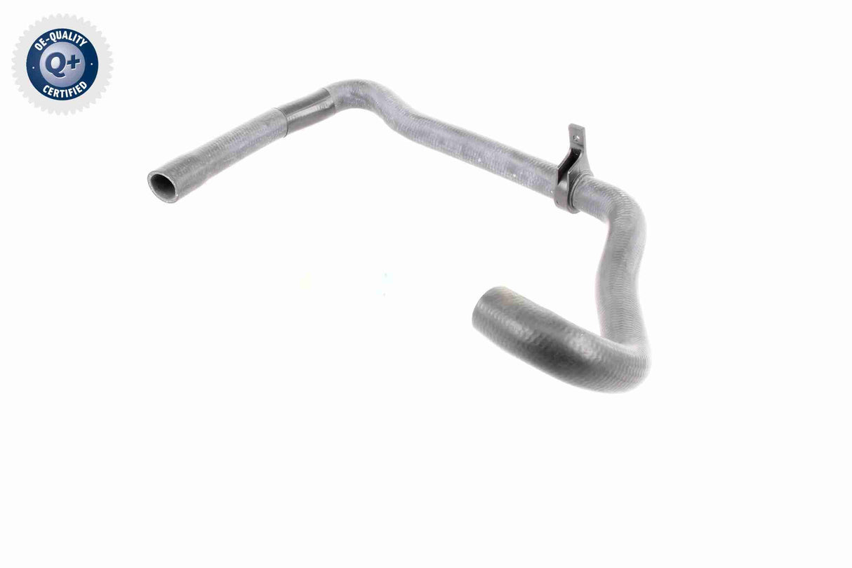 Radiator Hose - V42-0665