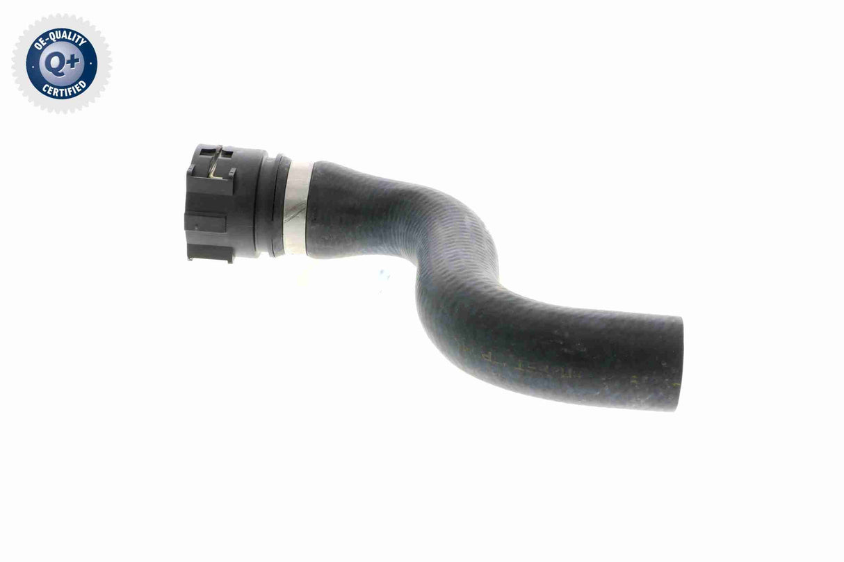 Radiator Hose - V48-0147