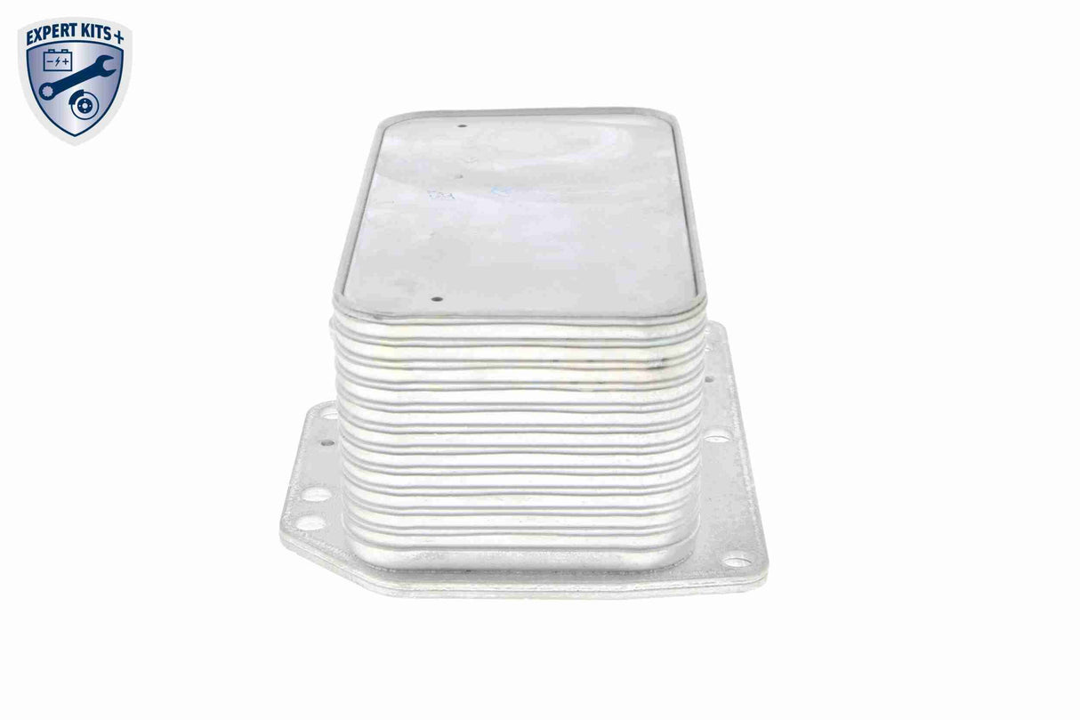 Oil Cooler, engine oil - V46-60-0012