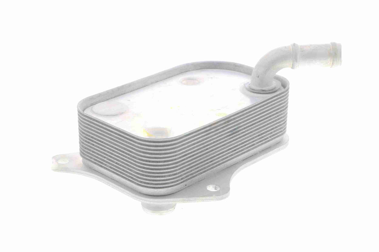 Oil Cooler, engine oil - V15-60-6071