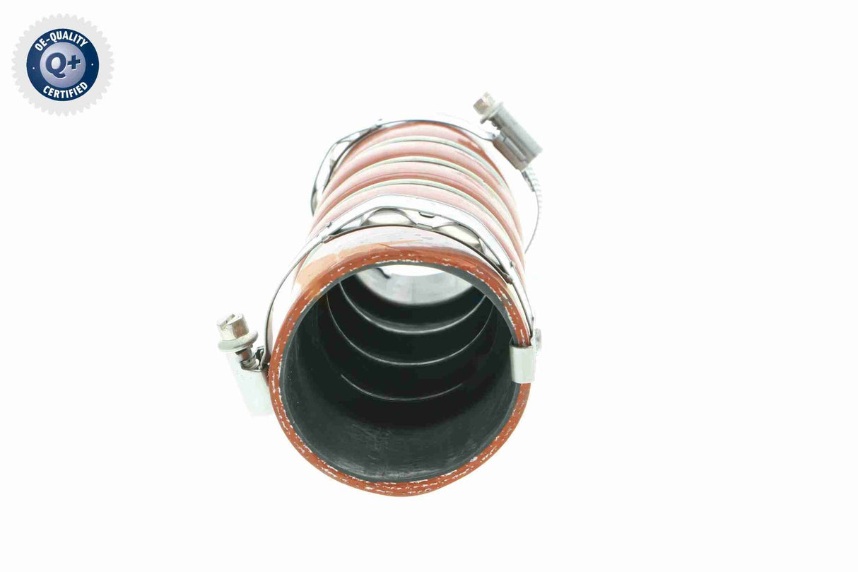 Charge Air Hose - V42-0615