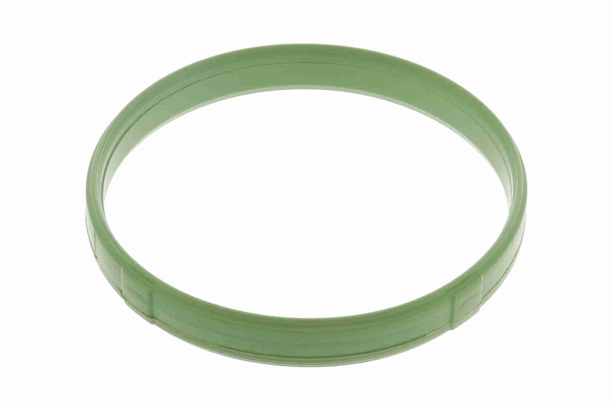 Gasket, throttle body - V20-81-0036