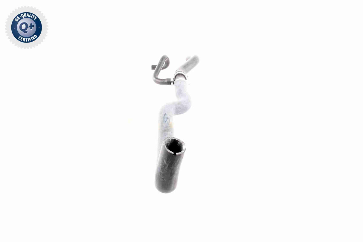 Radiator Hose - V24-0871