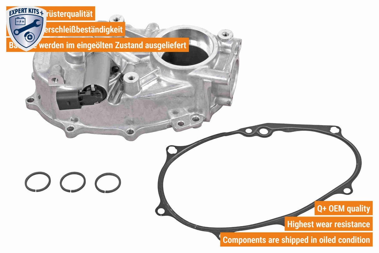 Timing Case Cover - V10-5500