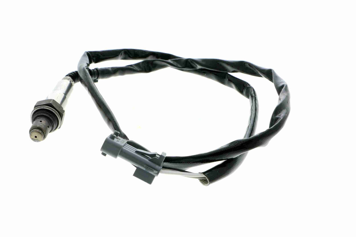 Oxygen Sensor - V95-76-0020
