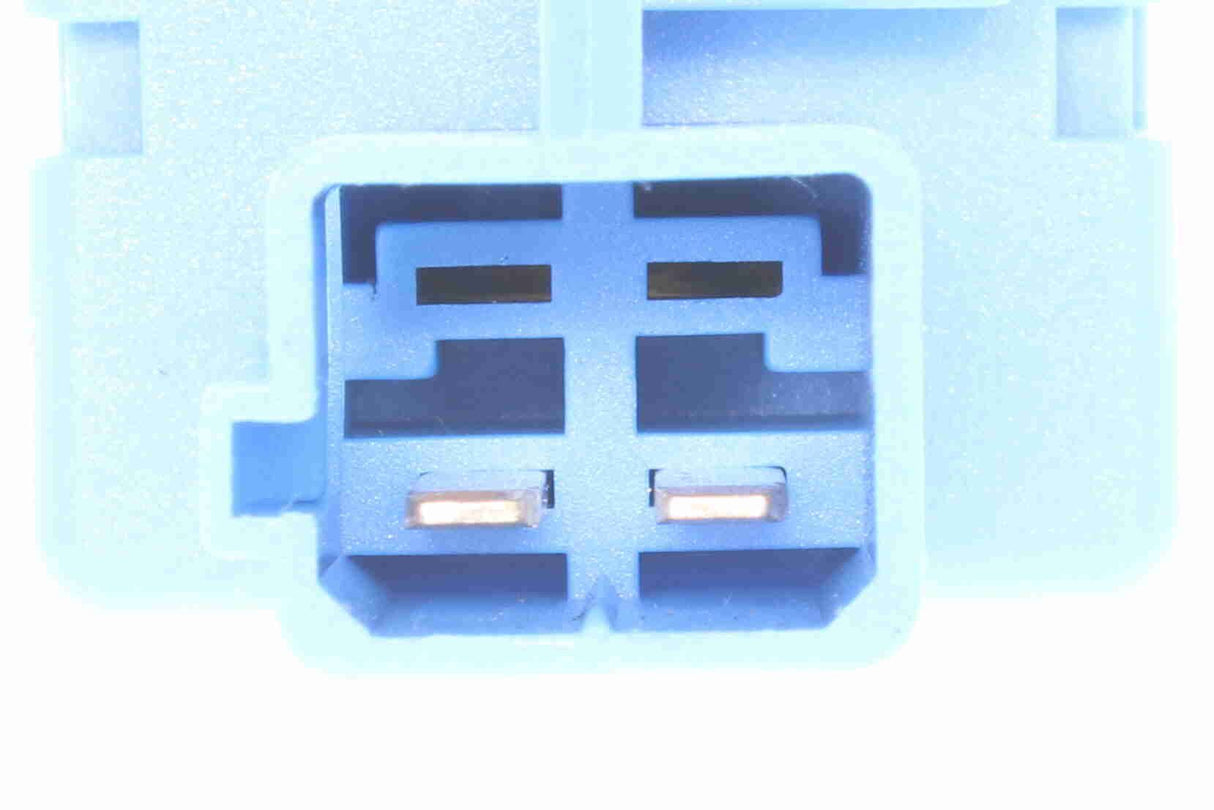 Switch, cruise control - V24-73-0036